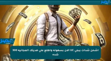 اشحن شدات ببجي UC الآن بسهولة واطلع على هديتك المجانية 300 شدة